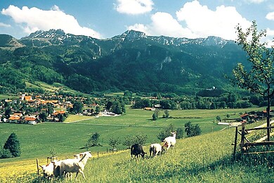 Aschau im Chiemgau