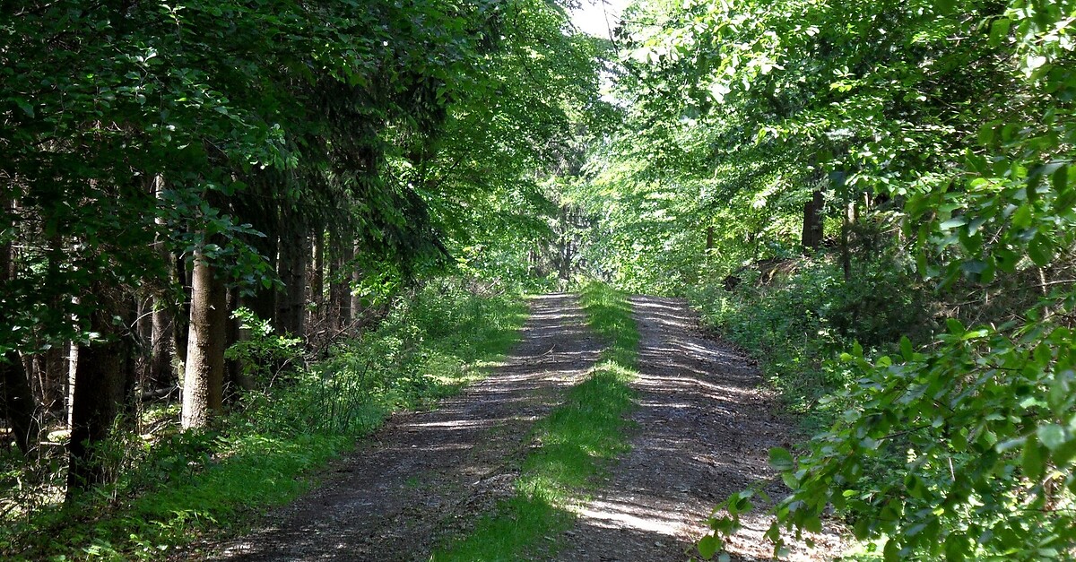 Schwarzenberg Rundweg Bergfex Wanderung Tour Sachsen