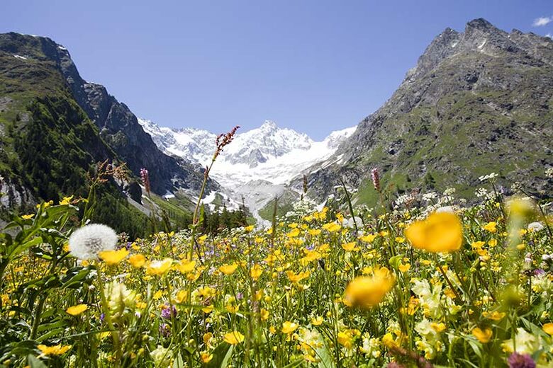 Pays du Saint-Bernard