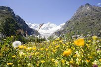 Sommerregion
