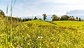 Sommerregion