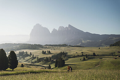 Seiser Alm