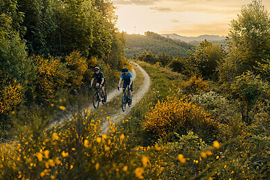 Sauerland / NRW