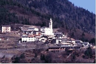 Grauno