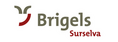 Logo Breil / Brigels