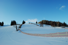 Logotipo Jonas Park Ostružná