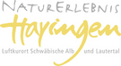 Logotip Hayingen