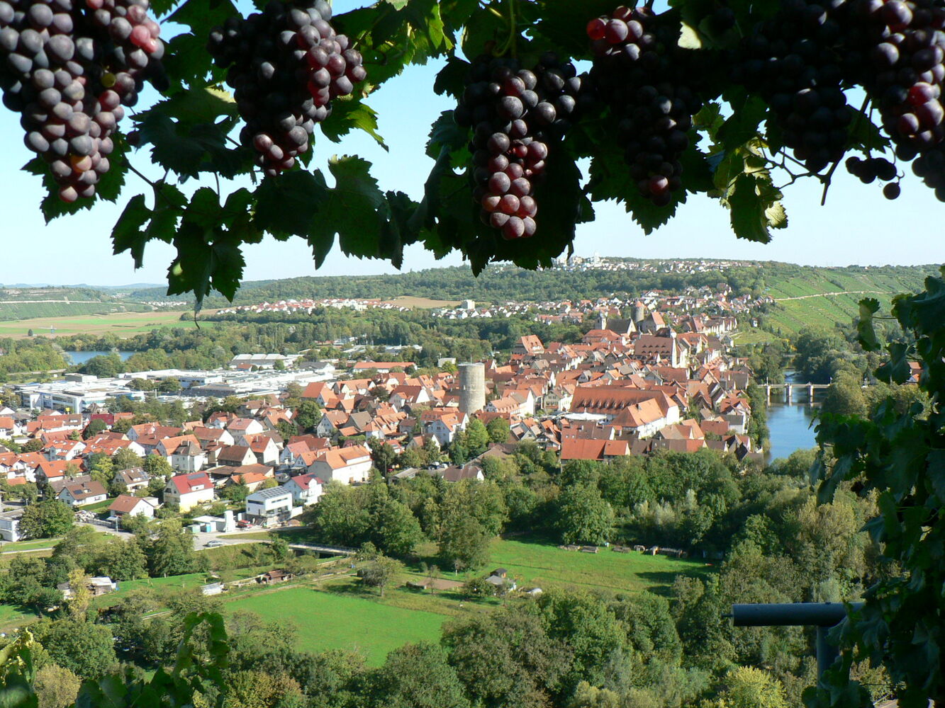 Besigheim