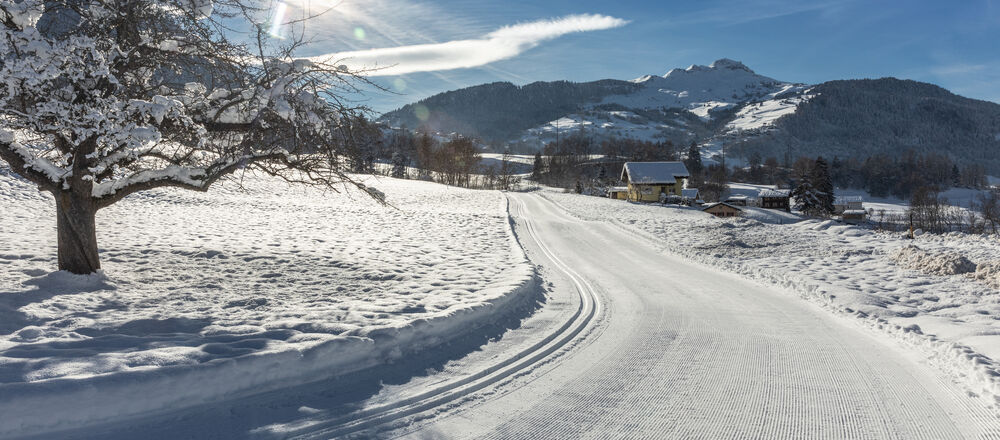 Loipenplan Castrisch