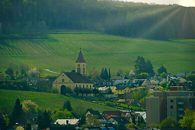 Auggen