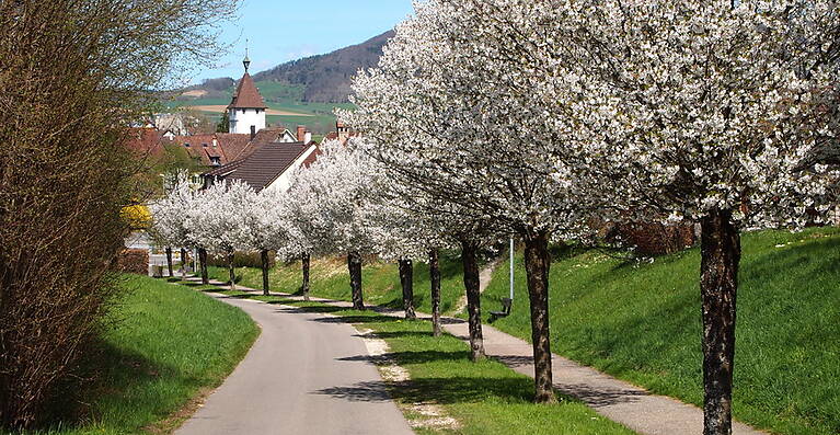 Neunkirch