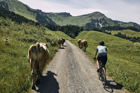 Beschwingt Radfahren