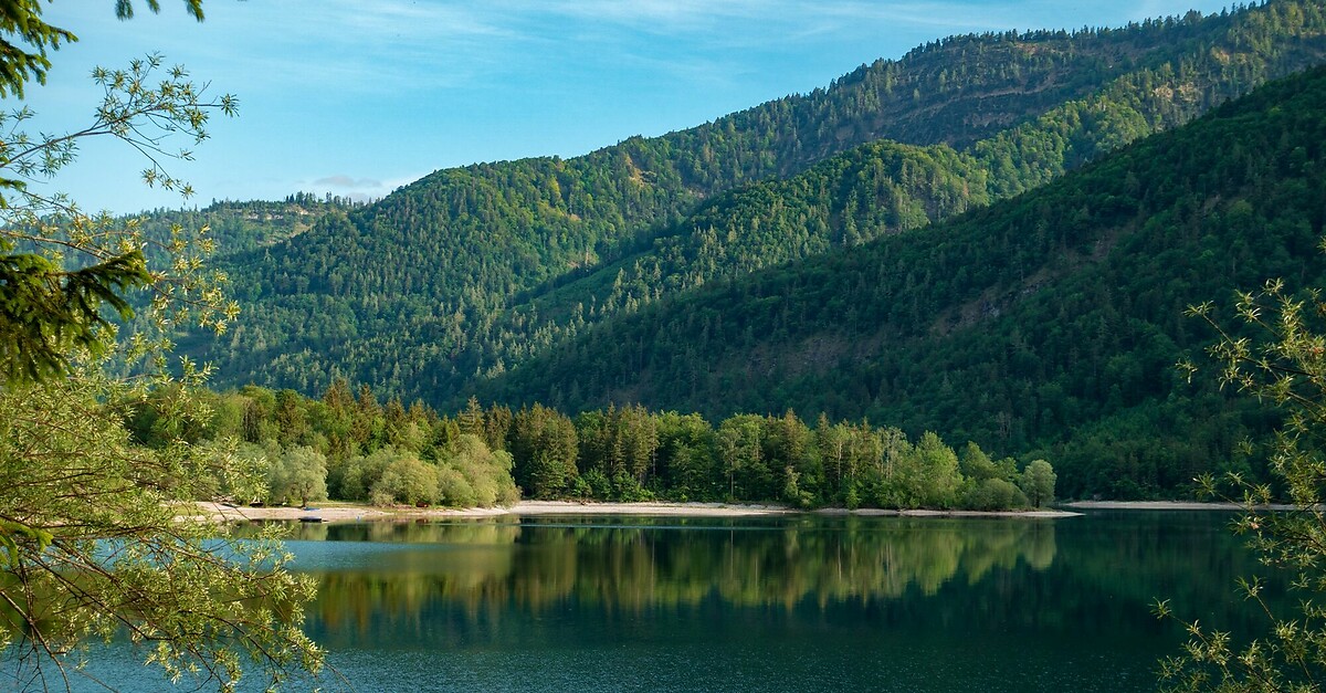 BERGFEX Badesee Hintersee Naturbadesee Viz Koupání Plavání