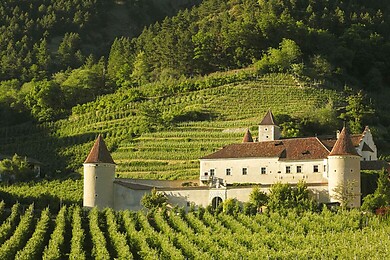Goldrain