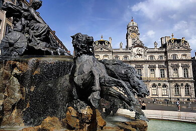 Métropole de Lyon