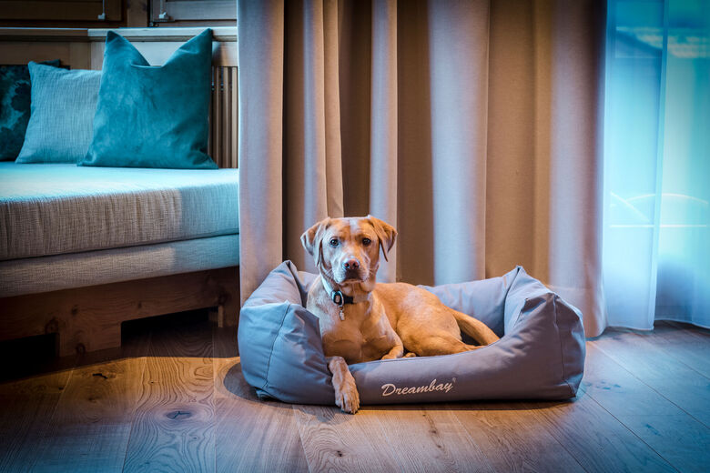 Hotel zur Pfeffermühle