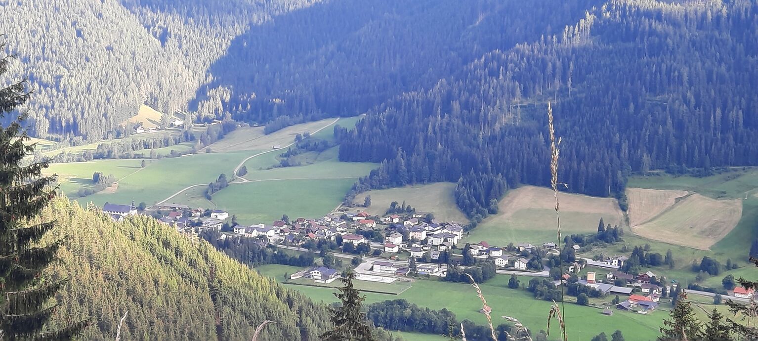 Gnesau