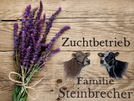 Logotyp Bauernhof Steinbrecher