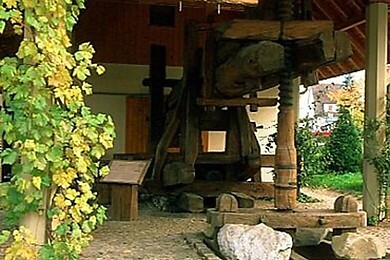Bermatingen