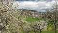 Sommarregion