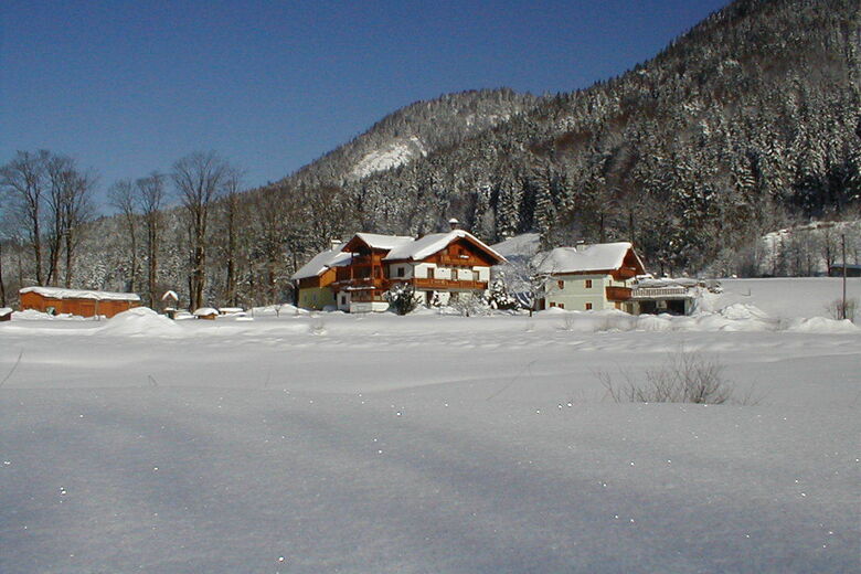 Haus Hirschpoint