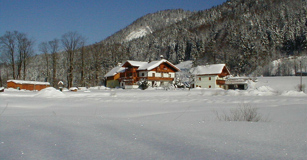 BERGFEX Haus Hirschpoint Ferienwohnung Faistenau