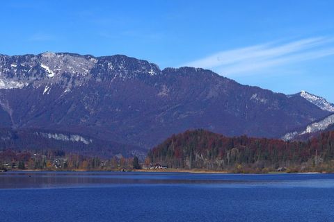 Bilck vom Hallstättersee Richtung Bad Goisern