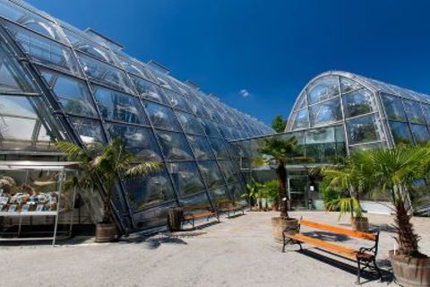 Botanischer Garten