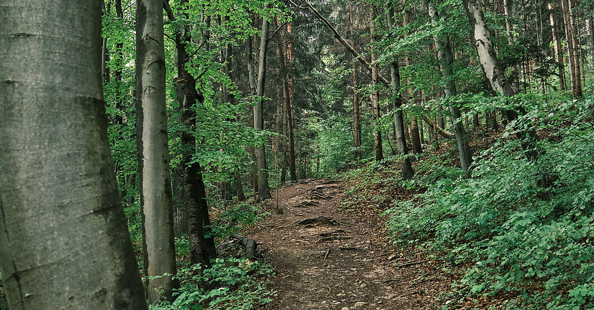 Über den Plabutsch von Nord nach Süd - BERGFEX - Wanderung - Tour ...