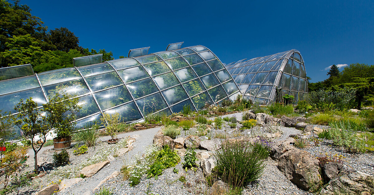 BERGFEXSehenswürdigkeiten Die Gewächshäuser im Botanischen Garten