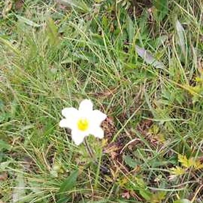 Avatar z Johann Wancura