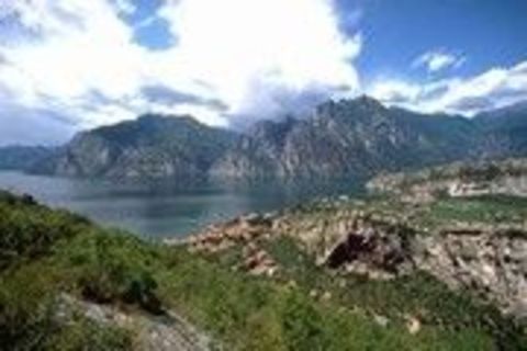 Versteinerungen von Monte Brione und Monte Baldo