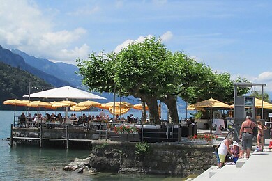 Brunnen