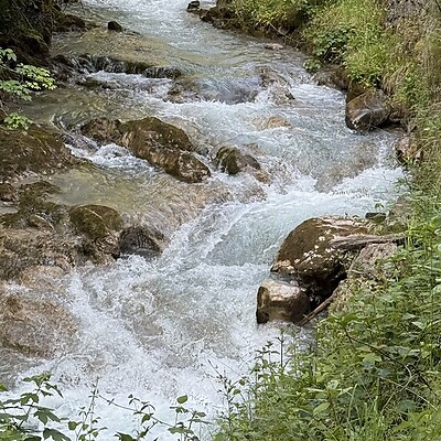 Avatar de Marius Czerny