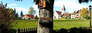 Kniebis Freudenstadt