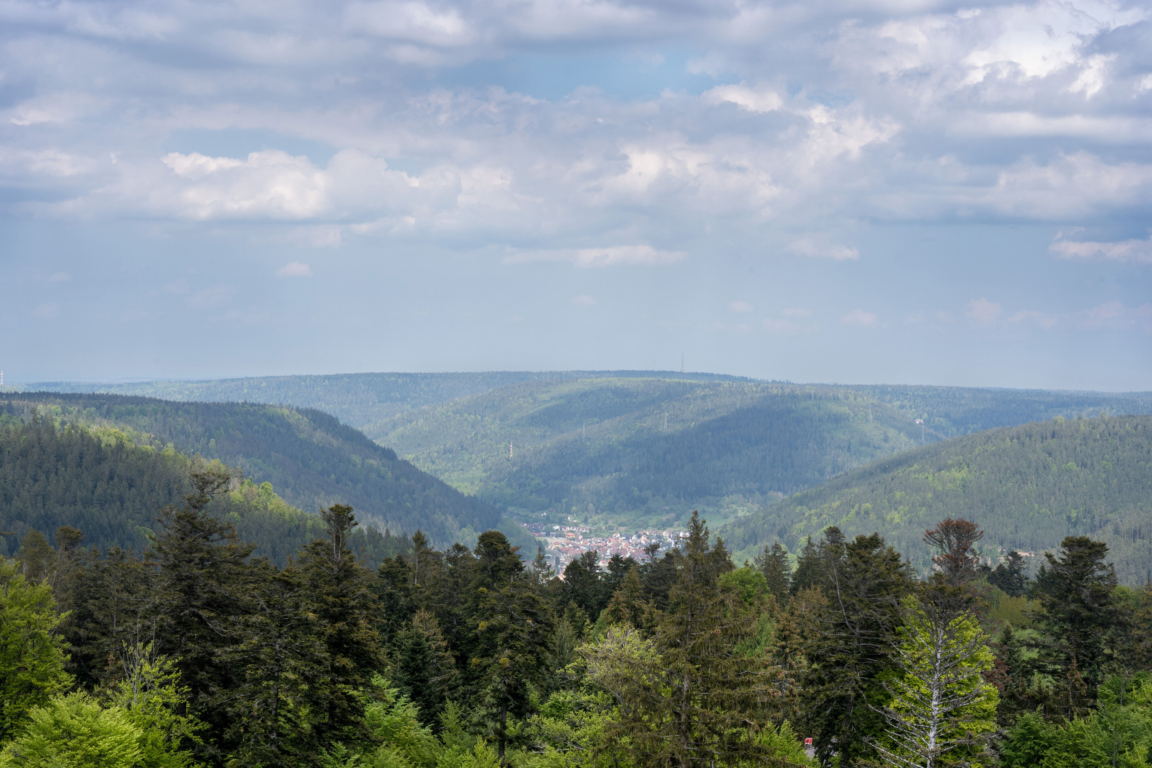 BERGFEX: Panoramakarte Enztal: Karte Enztal - Alm - Enztal BERGFEX: Panoramakarte Enztal: Karte Enztal - Alm - Enztal