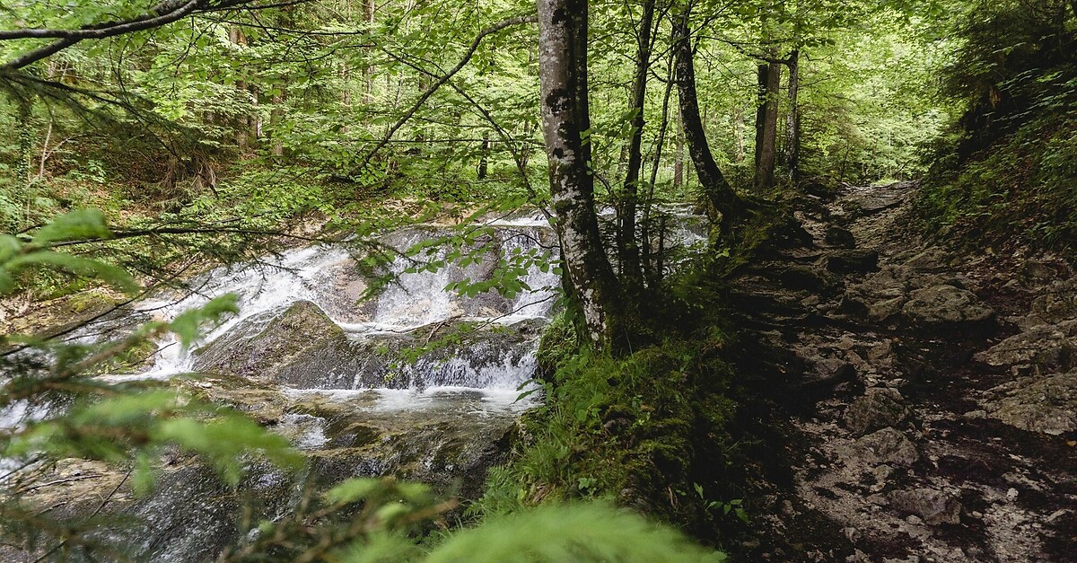 Samerberg Entlang des Fluderbaches zur Wildfütterung Rundweg Nr 43