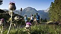 Sommerregion