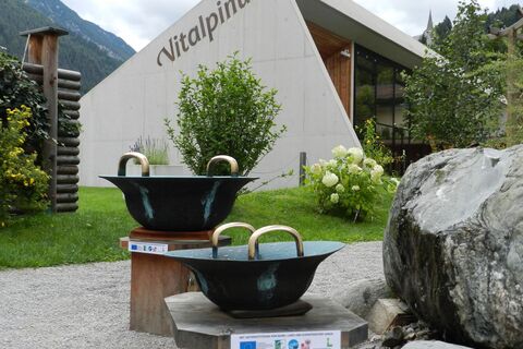 Vitalpinum