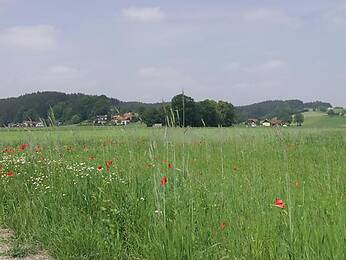 Oberndorf bei Schwanenstadt