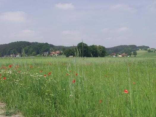 Oberndorf bei Schwanenstadt