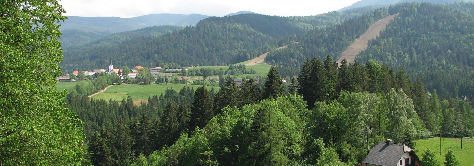 BERGFEX Panoramakarte Ribnica na Pohorju Karte Ribnica na Pohorju