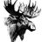 Avatar von moose1963