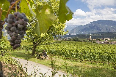 Eppan an der Weinstraße