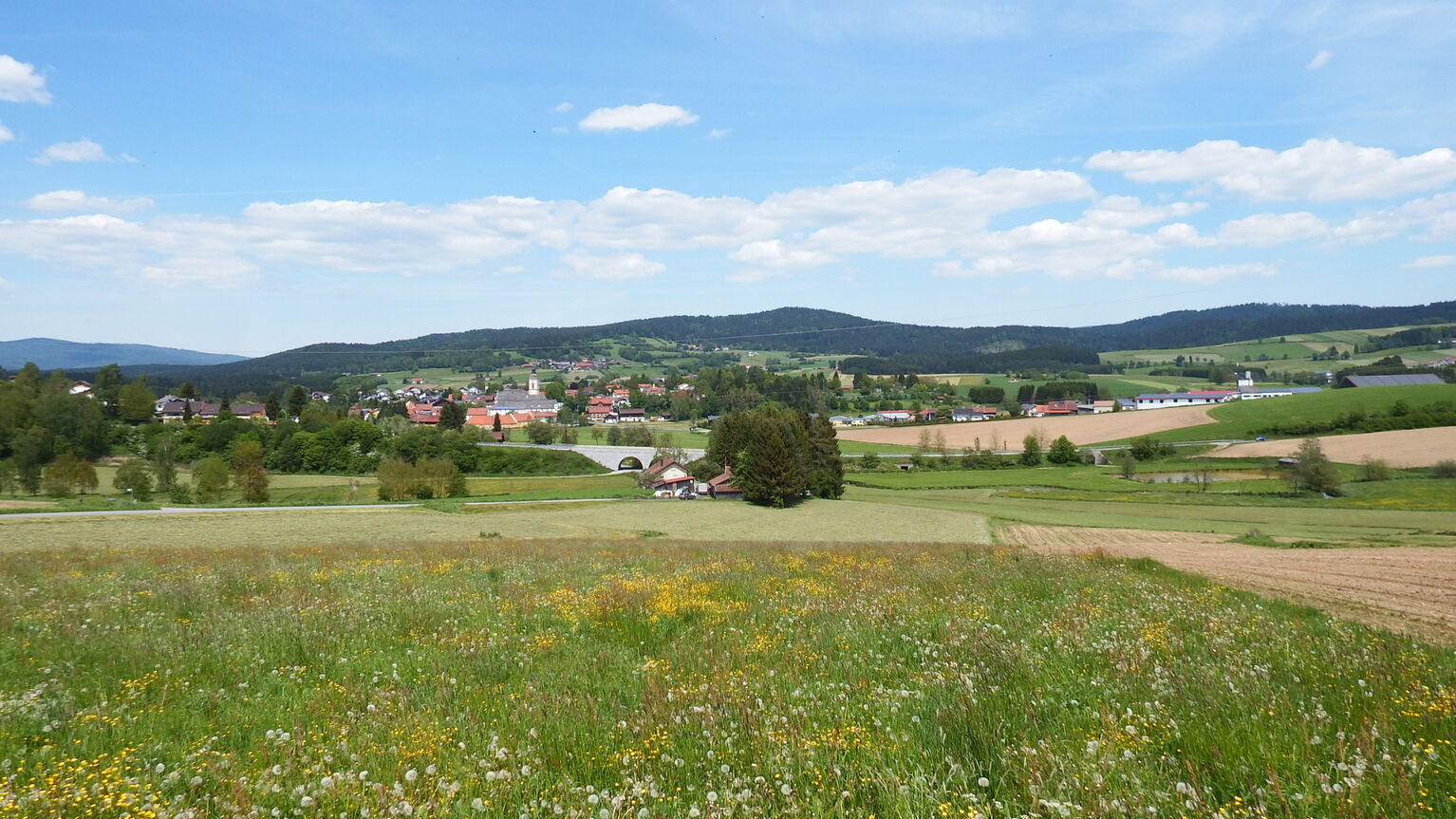 Rinchnach