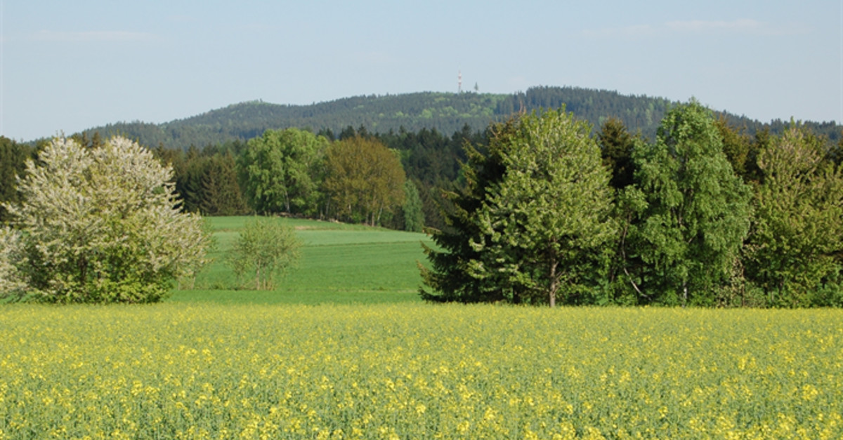 BERGFEX Waldhausen Holiday Waldhausen Travel Waldhausen