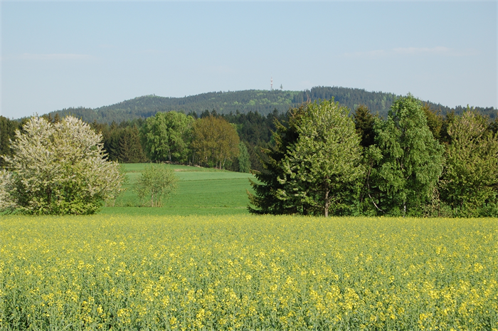 Waldhausen