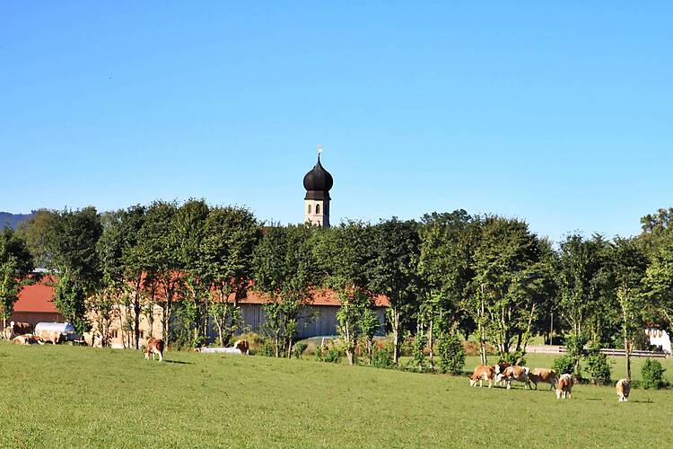 Warngau