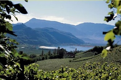 Auer - Montan - Neumarkt - Salurn / Castelfeder