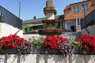 Echsenbach